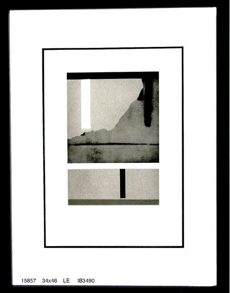 15857 TREED I - 34X46