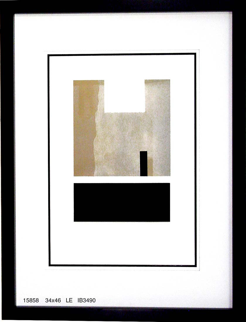 15858 TREED II - 34X46