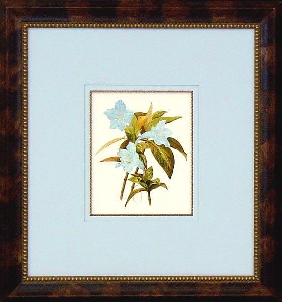 16082 PLATE 409 - 20X22