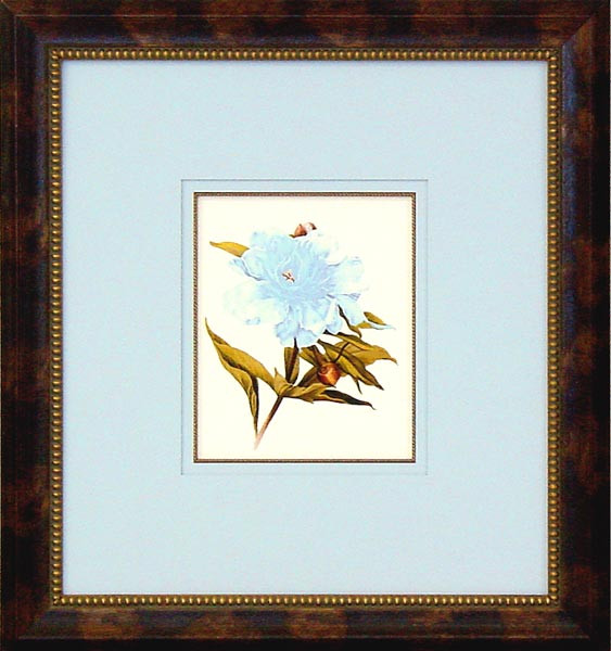 16084 PLATE 411 - 20X22