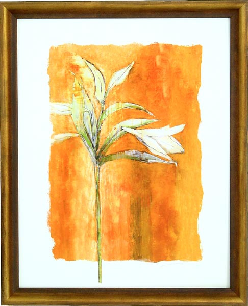 16175 MANHASSET - 30X38