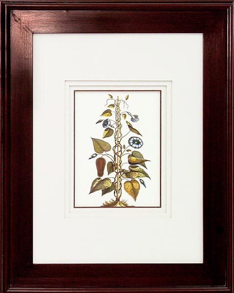 16234 PLATE 912 - 18X24