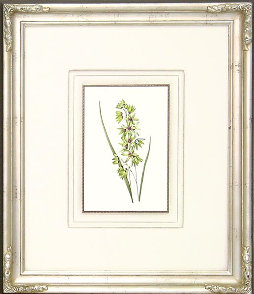16285 PLATE 83 - 20X24