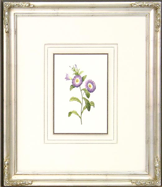 16287 PLATE 85 - 20X24