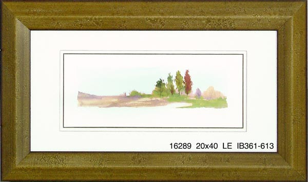 16289 YOST'S LANDING II - 20X40
