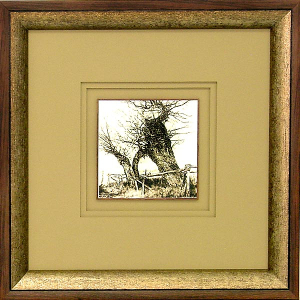 16292 GENTLE BRANCHES II - 20X20