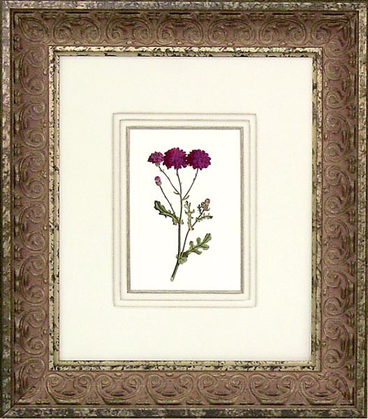 16455 PLATE 321 - 20X24