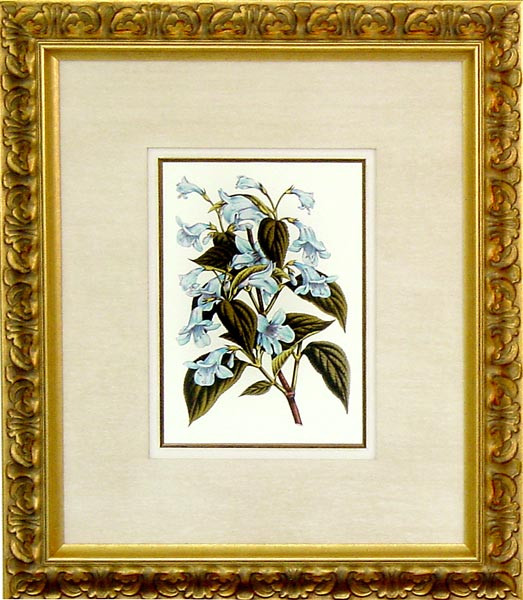 16467 XII - 20X24