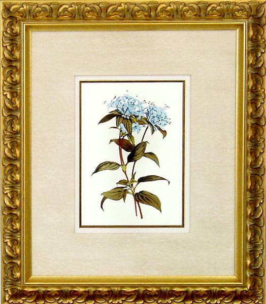 16468 XIII - 20X24