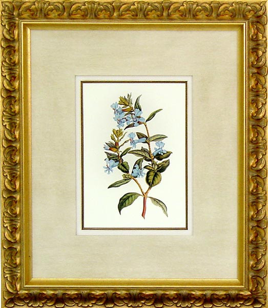 16469 XIV - 20X24