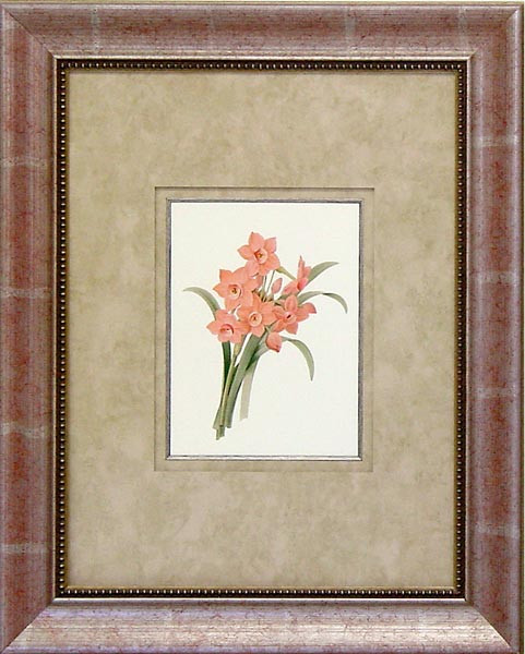 16473 CORAL PASSION I - 18X24