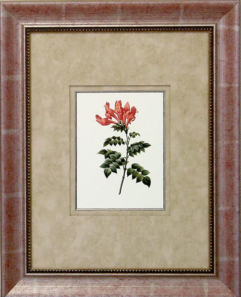 16474 CORAL PASSION II - 18X24