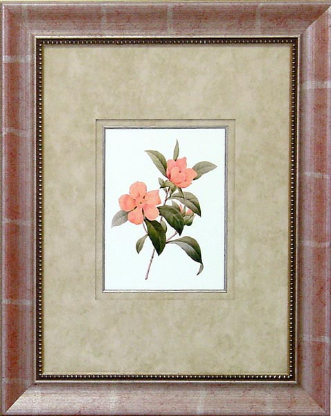 16476 CORAL PASSION IV - 18X24
