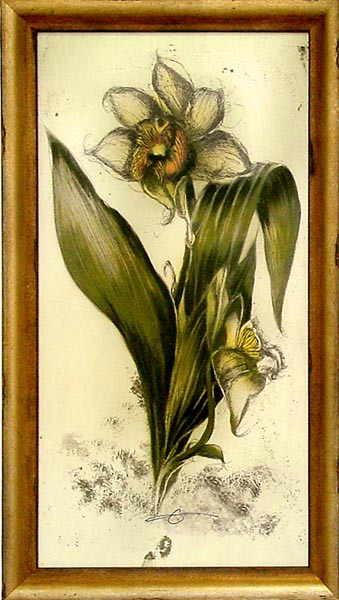 16581 MAJORCA I - 20X40