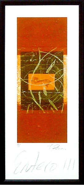 16745 ENTERO III - 12X28