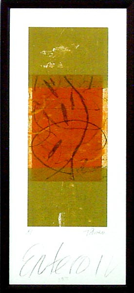 16746 ENTERO IV - 12X28