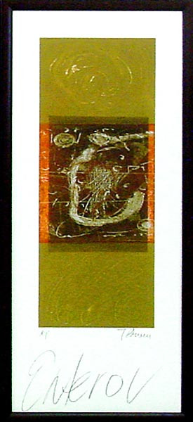 16747 ENTERO V - 12X28