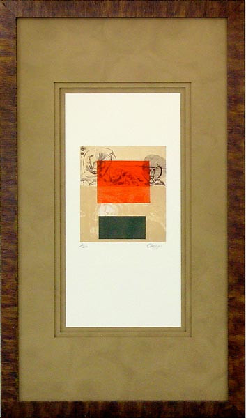 16793 INSPIRE I - 20X36