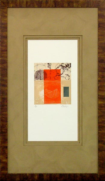 16794 INSPIRE II - 20X36