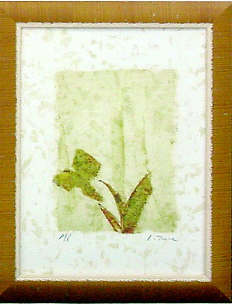 16843 RESONANCE IV - 12X16