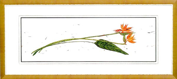 16897 PARADISE - 20X48