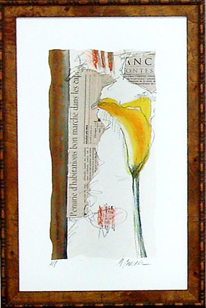 16988 DANIELI I - 16X26