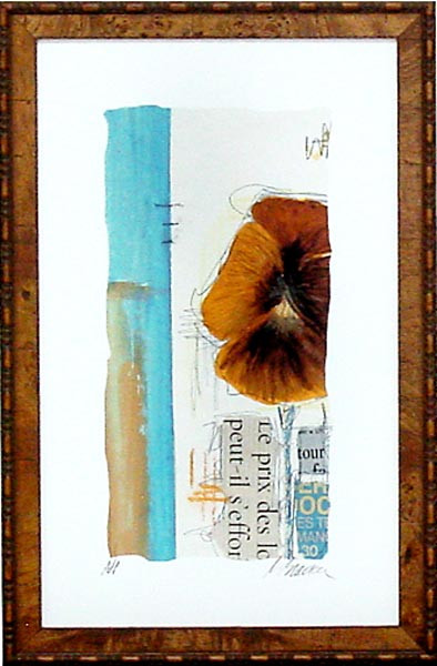 16989 DANIELI II - 16X26