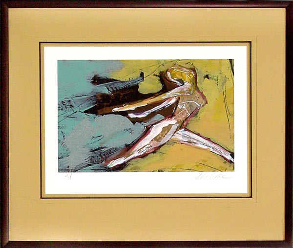 16996 INSPIRE I - 25X30