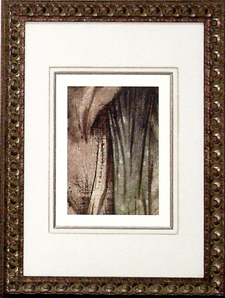 17029 CARNEROS III - 20X28