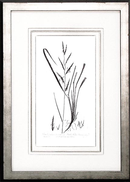17059 PLATE 176 - 22X32
