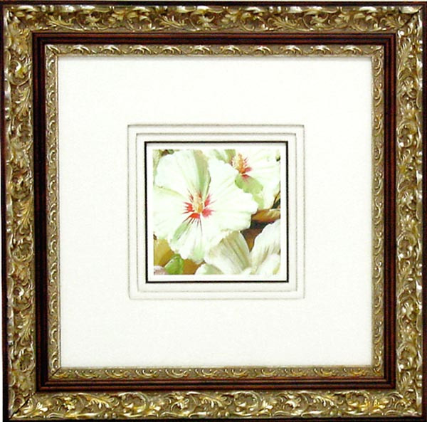 17297 FLORAL G - 20X20