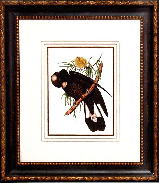 17335 PLATE 19 - 22X26
