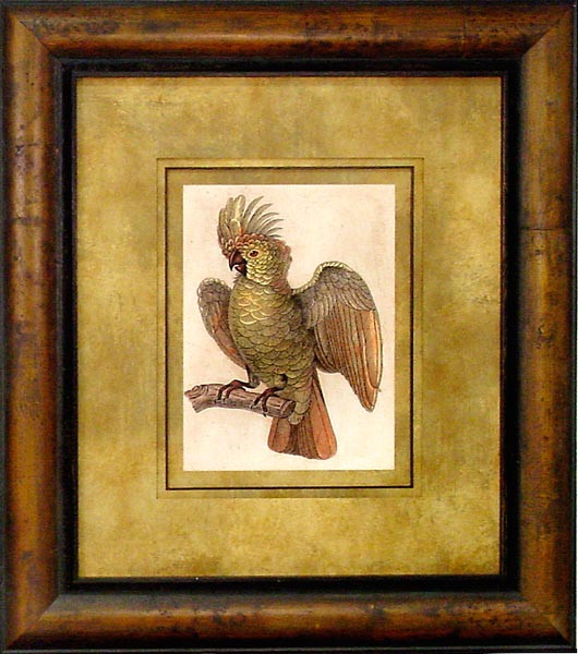 17340 COCKATOO II - 24X28