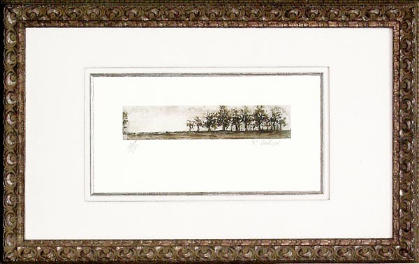 17377 VIEW I - 19X33