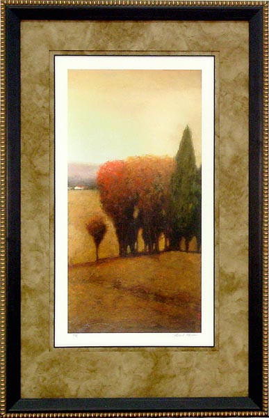 17388 SIMPLE GLENN I - 26X43