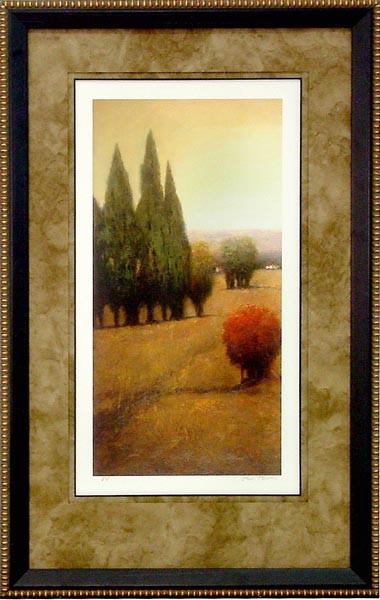17389 SIMPLE GLENN II - 26X43