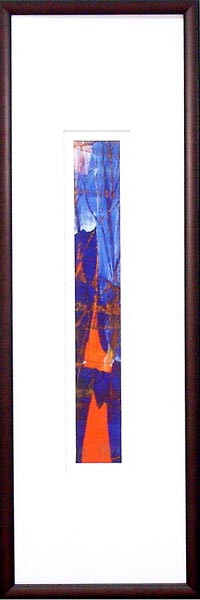 17491 SPECTRUM II - 9X29