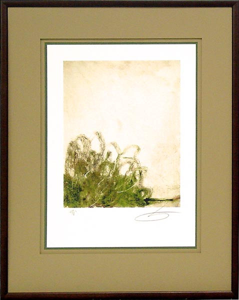 17624 PACHON I - 25X35