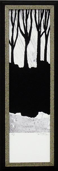 17635 FRONT RANGE II - 7X25