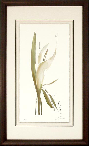 17746 MORNING I - 31X55