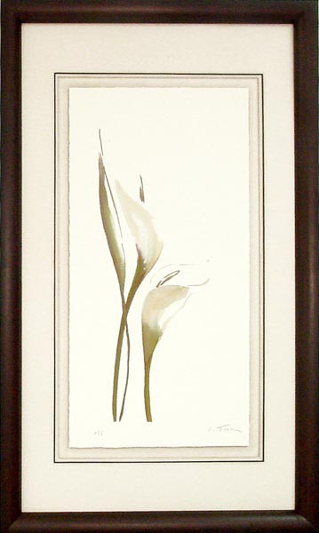 17747 MORNING II - 31X55