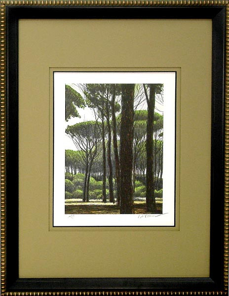 17824 IN THE CLEAR II - 24X32