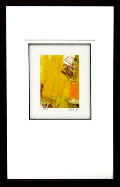 17883 EMBYA I - 14X23