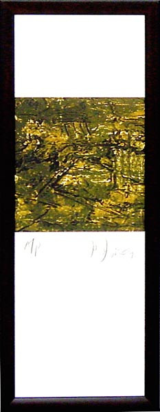 17916 QUELLOR II - 7X25