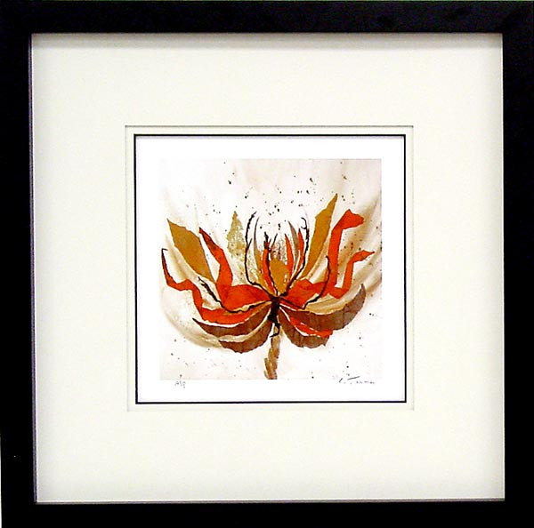 17960 DI ROSA I - 30X30