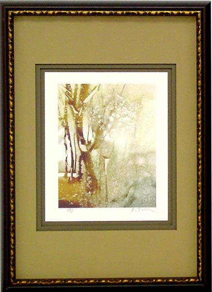 17974 ESTES PARK I - 21X30