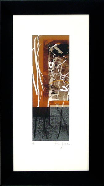 17997 RAFA II - 15X30