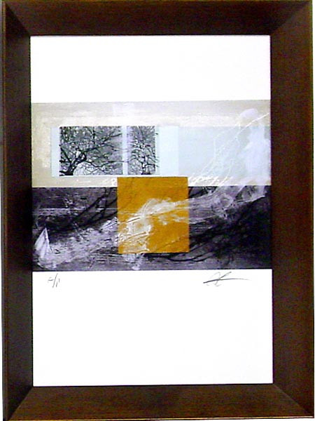 18004 GUANARA III - 19X27