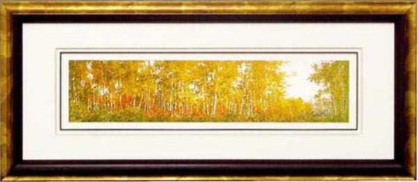 18135 COUNCIL ROCK I - 18X48