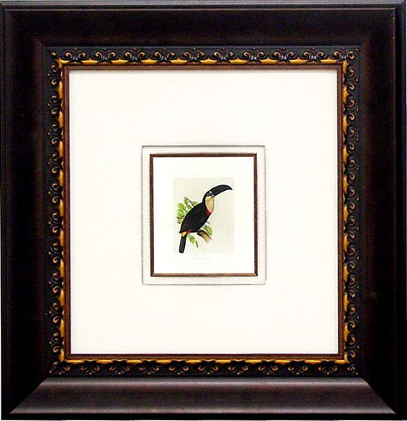 18189 TOUCAN I - 18X19